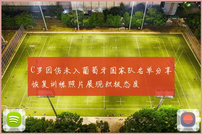 C罗因伤未入葡萄牙国家队名单分享恢复训练照片展现积极态度